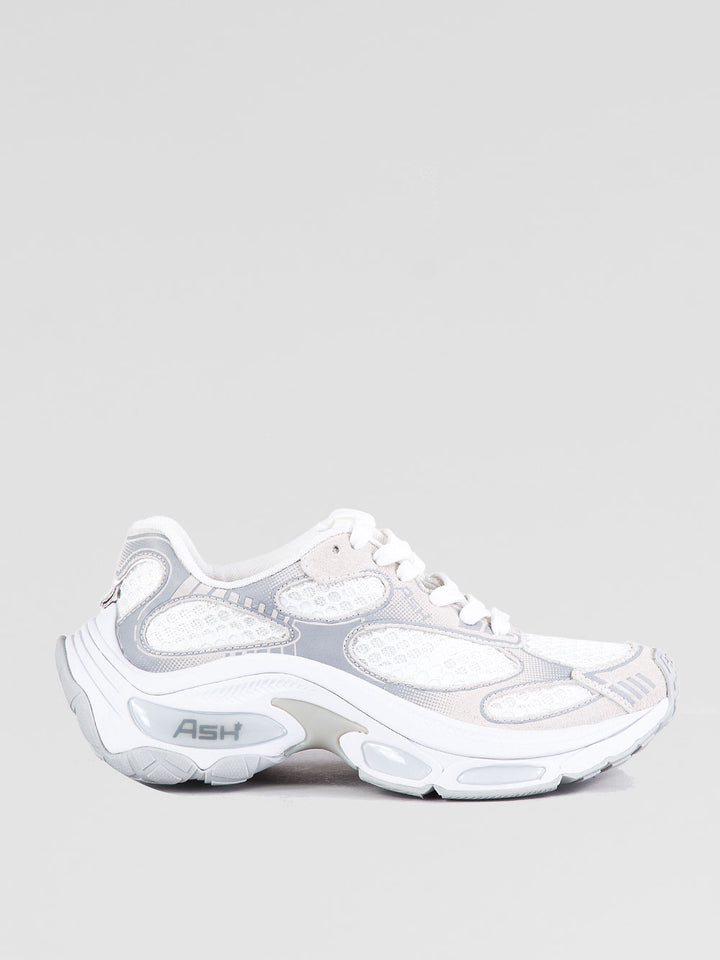 Sneakers Dragon