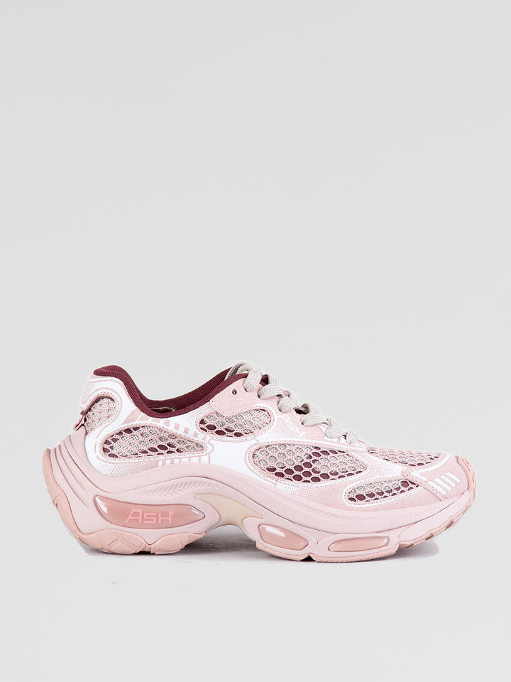 Sneakers Dragon