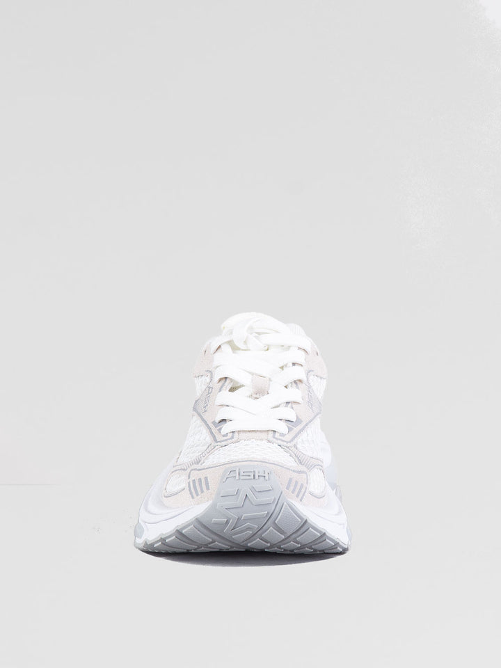 Sneakers Dragon