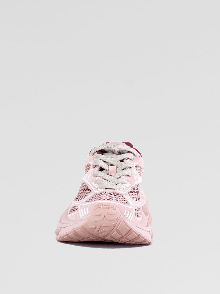 Sneakers Dragon