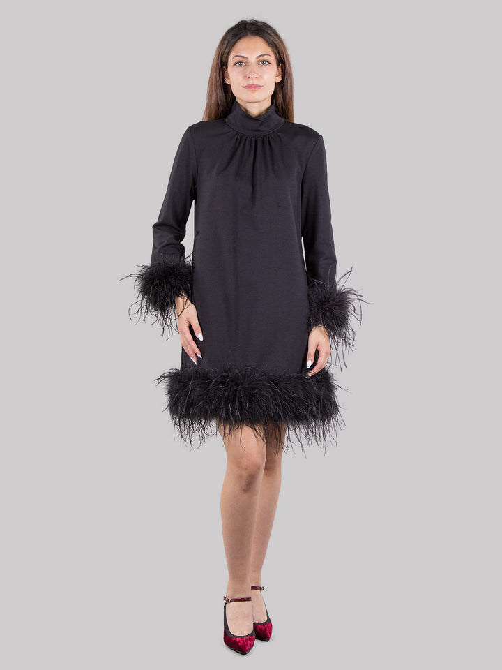 Dress with feathers