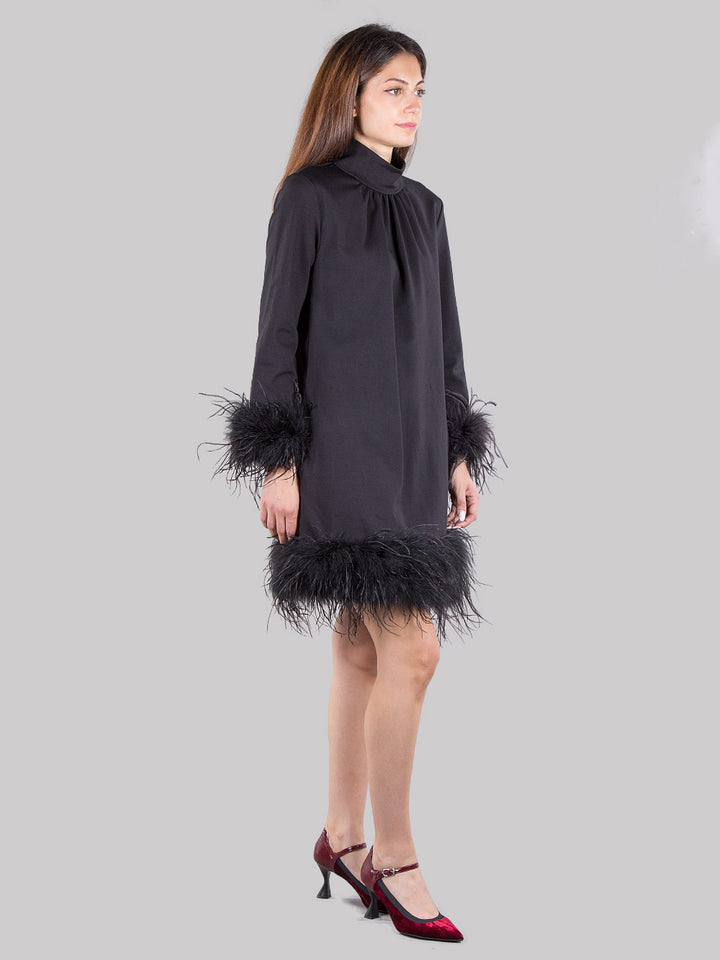 Dress with feathers