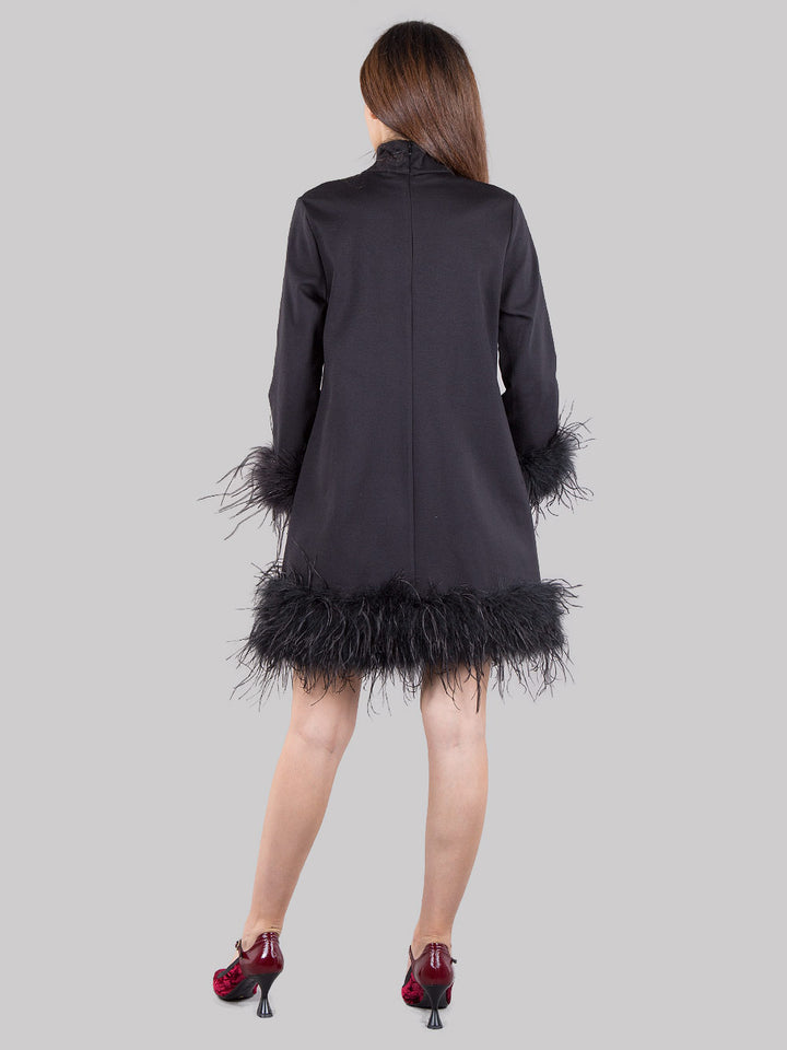 Dress with feathers