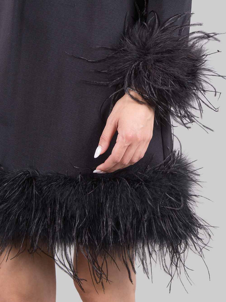 Dress with feathers