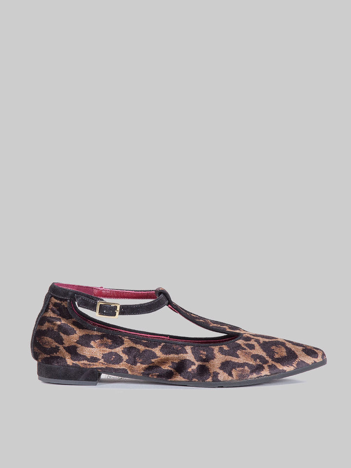 Ballerine panthera