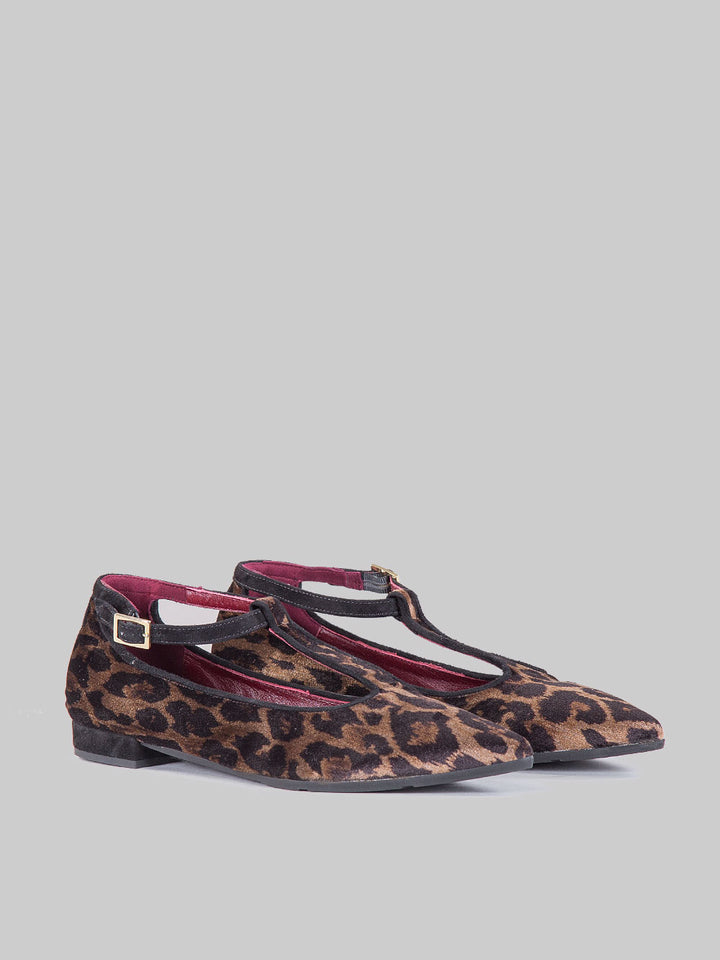 Ballerine panthera